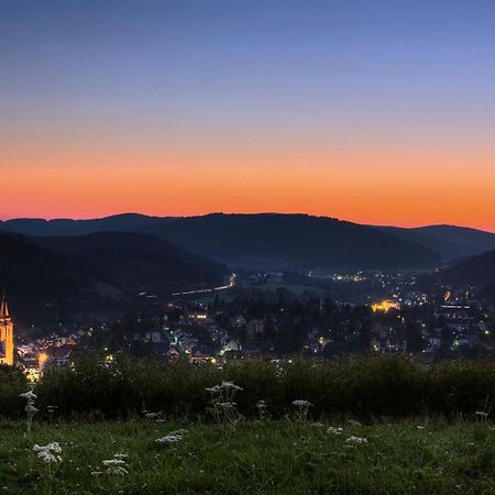 Drei Tannen - Wohnung 09 - Apartmenthaus, Titisee, Feldberg Dış mekan fotoğraf