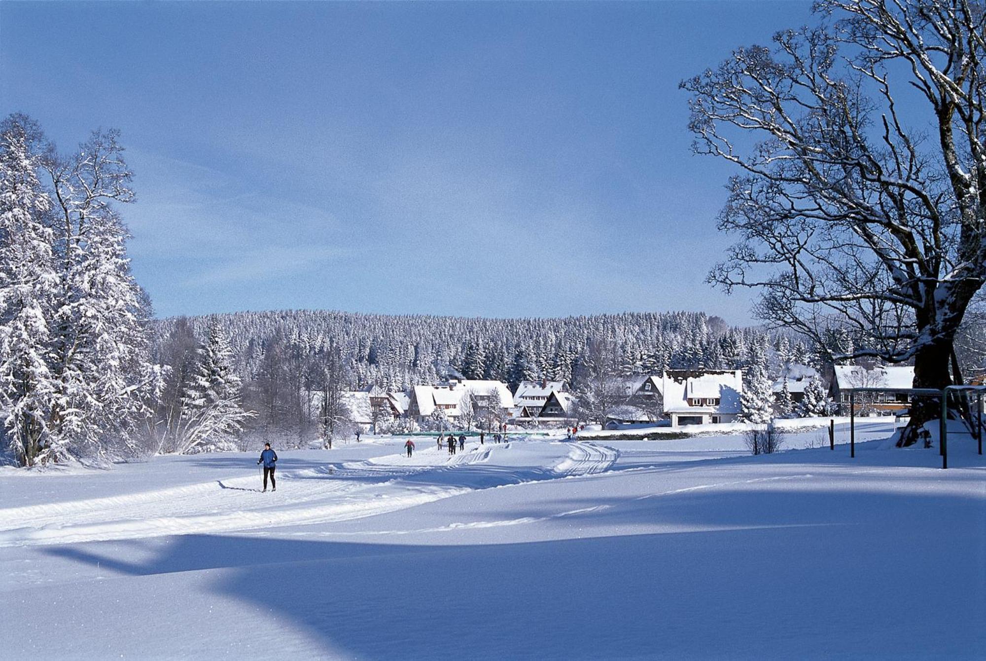 Drei Tannen - Wohnung 09 - Apartmenthaus, Titisee, Feldberg Dış mekan fotoğraf