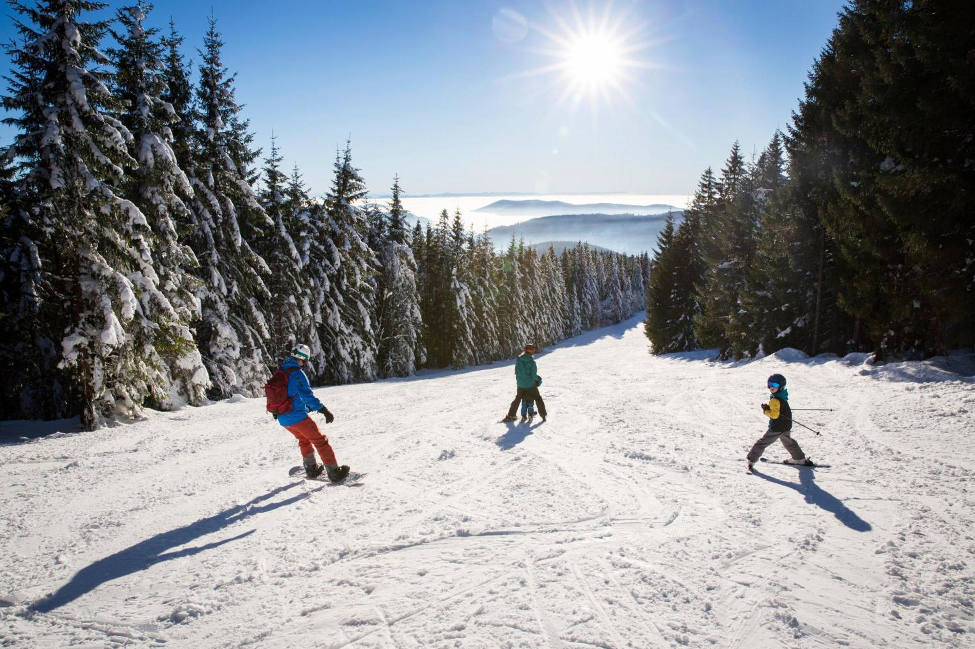 Drei Tannen - Wohnung 09 - Apartmenthaus, Titisee, Feldberg Dış mekan fotoğraf