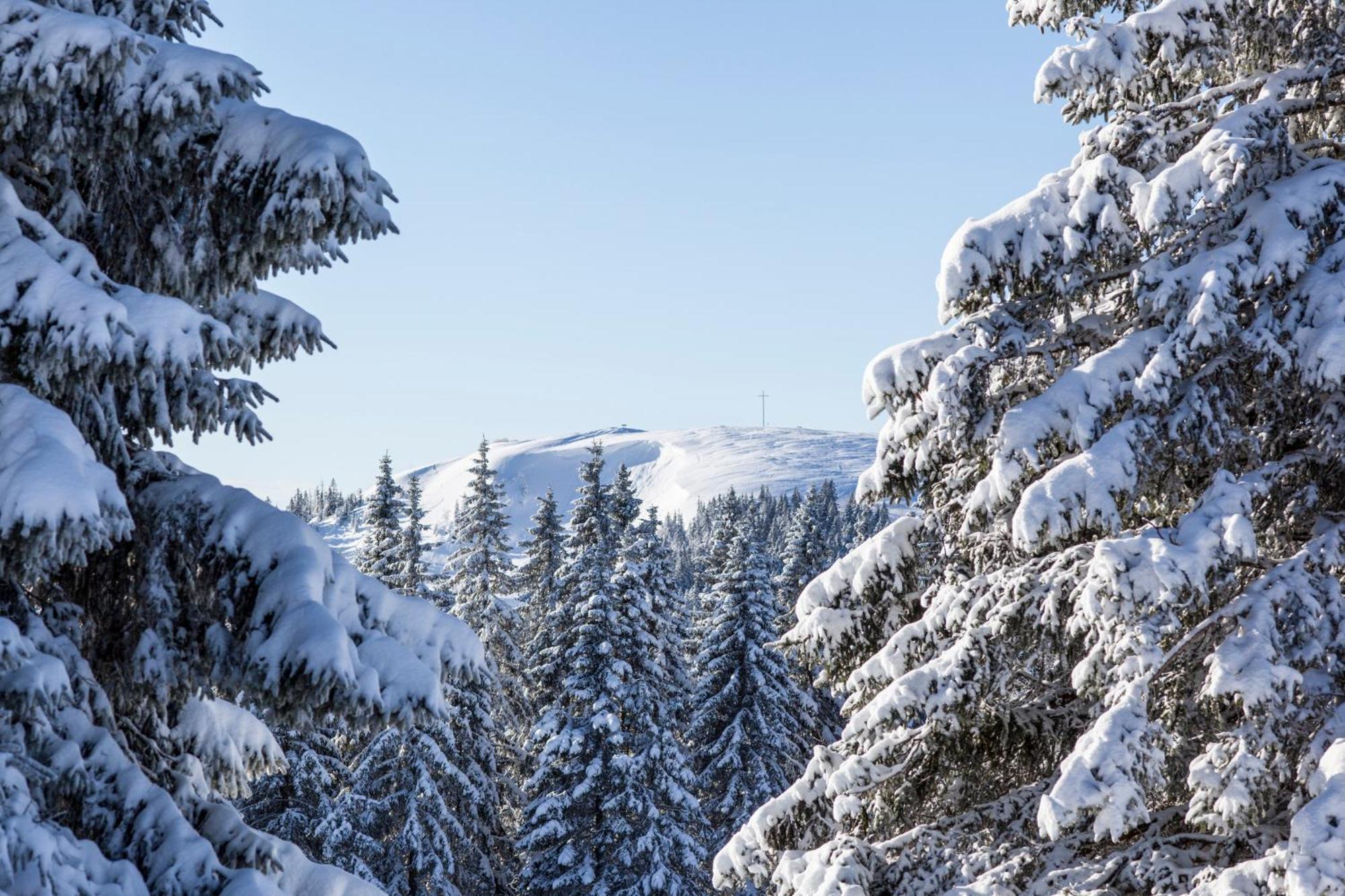 Drei Tannen - Wohnung 09 - Apartmenthaus, Titisee, Feldberg Dış mekan fotoğraf