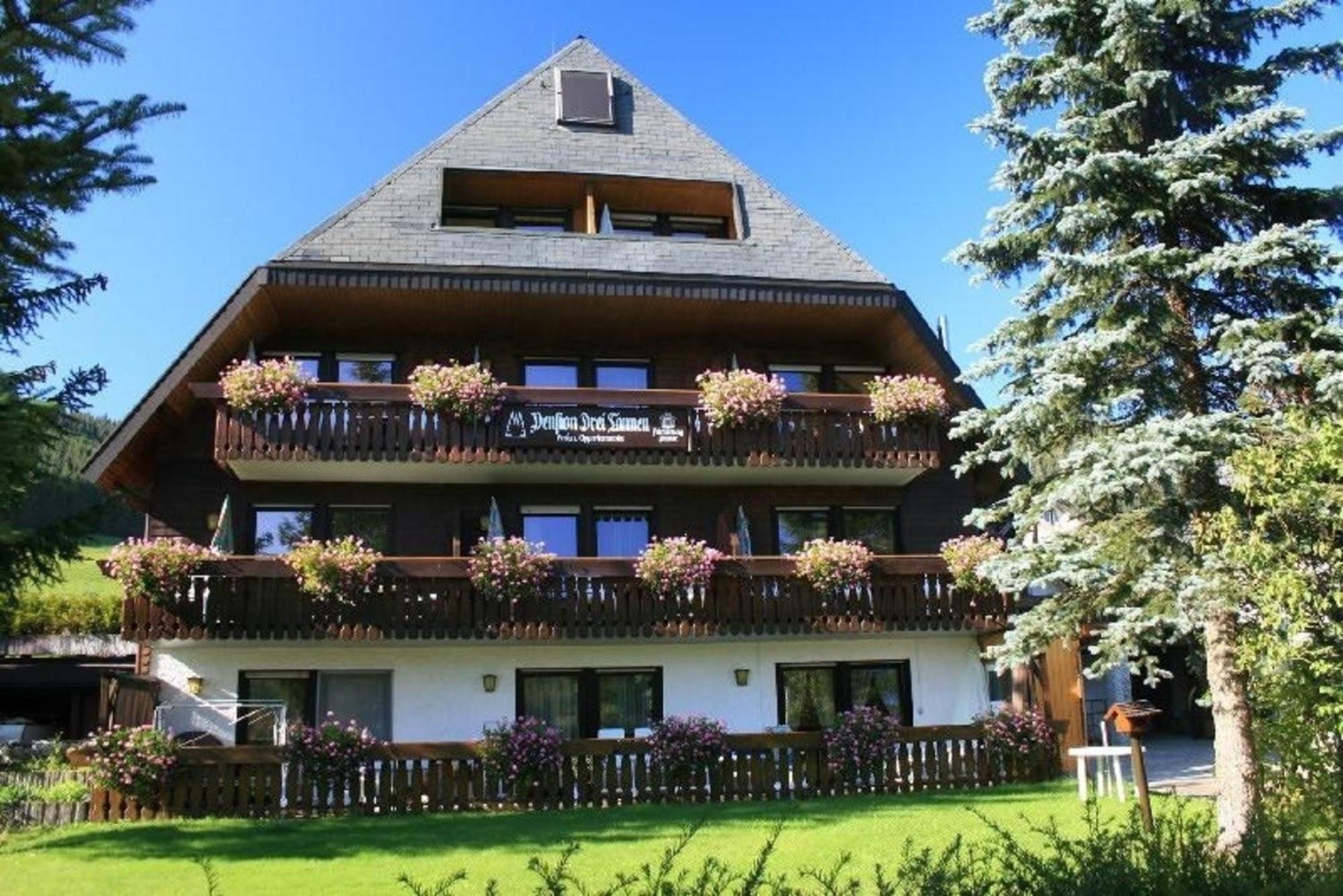 Drei Tannen - Wohnung 09 - Apartmenthaus, Titisee, Feldberg Dış mekan fotoğraf